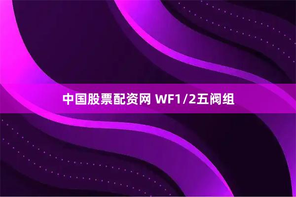 中国股票配资网 WF1/2五阀组